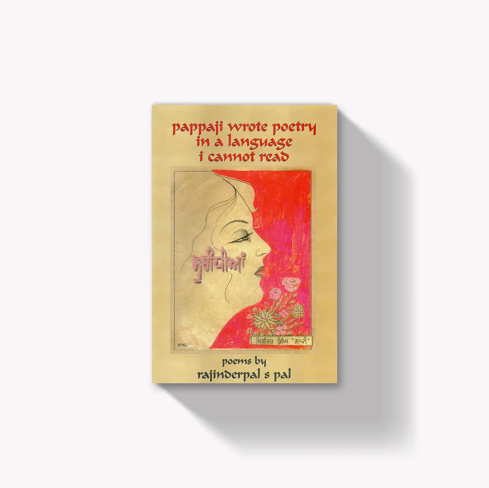 "pappaji wrote poetry in a language i cannot read" book cover